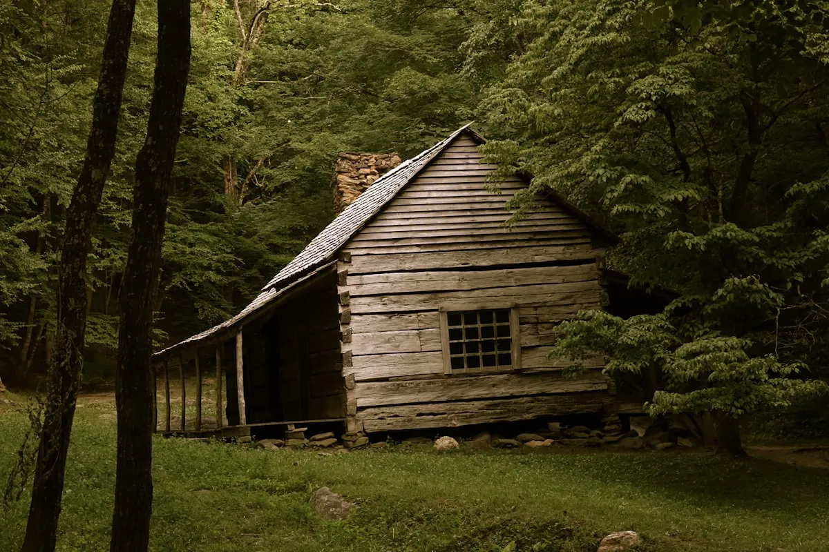 Rustic eco cabin in the forest
