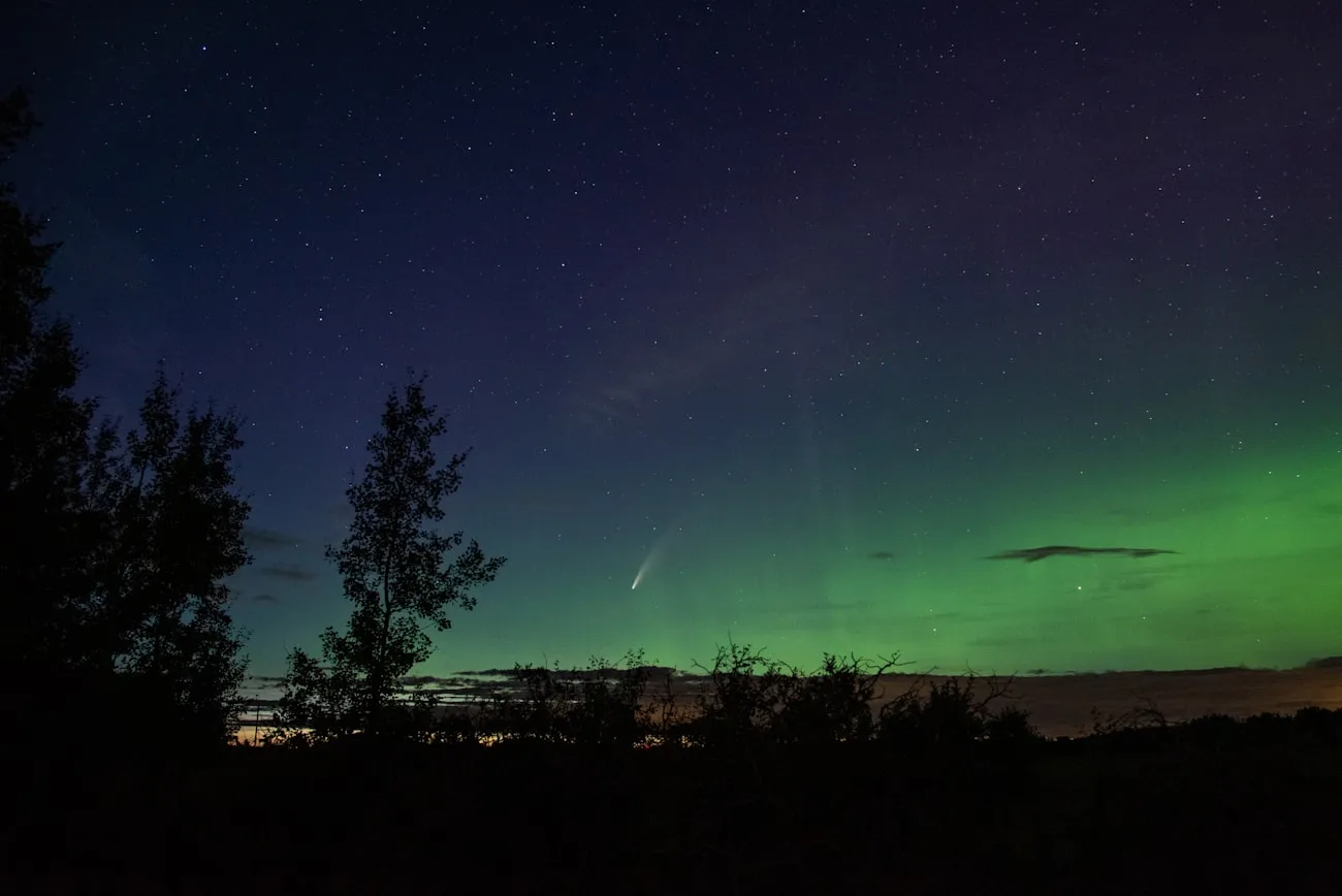 Green northern lights over a treeline