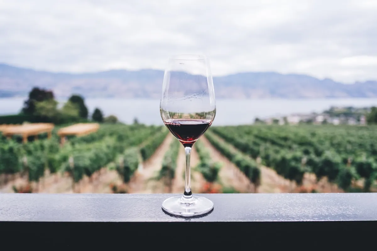 A glass of wine overlooking Okanagan vineyards and lake